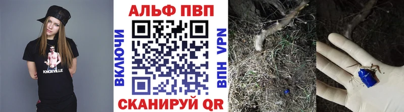 APVP Crystall  Волхов 
