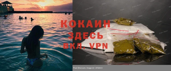 хмурый Аркадак