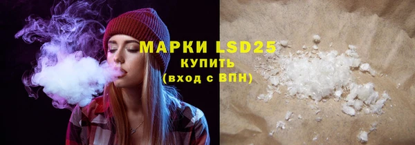 хмурый Аркадак