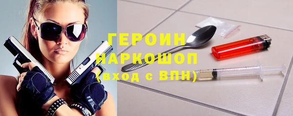 хмурый Аркадак