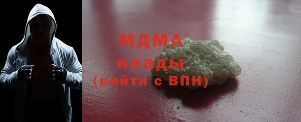 хмурый Аркадак