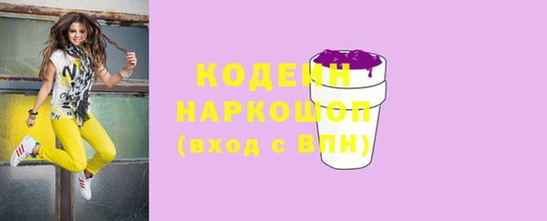 хмурый Аркадак