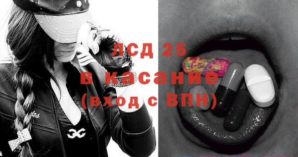 хмурый Аркадак