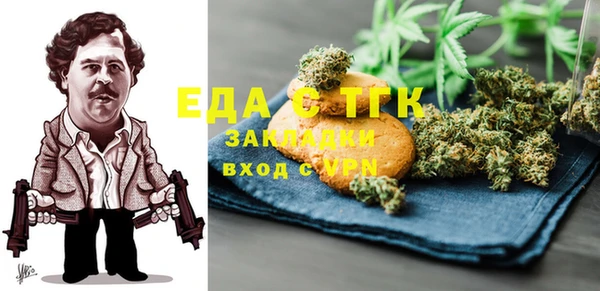 хмурый Аркадак