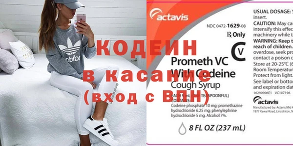 хмурый Аркадак