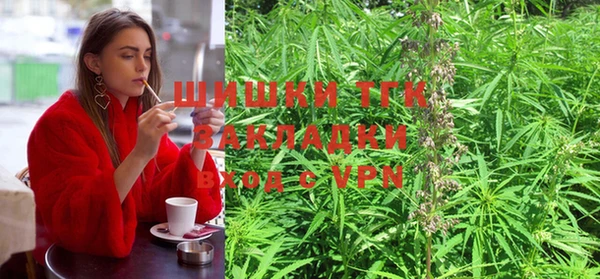 хмурый Аркадак