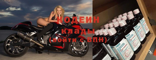 хмурый Аркадак