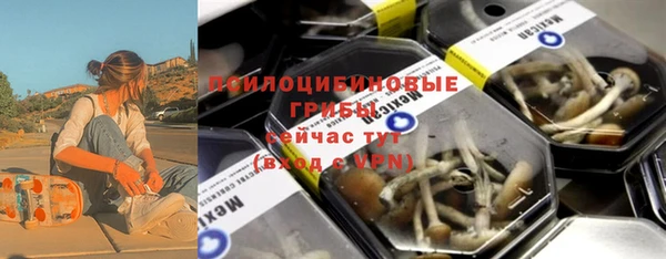 хмурый Аркадак
