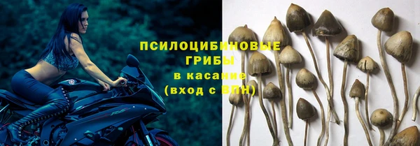 ECSTASY Арсеньев