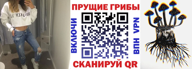 Галлюциногенные грибы мухоморы  Волхов 
